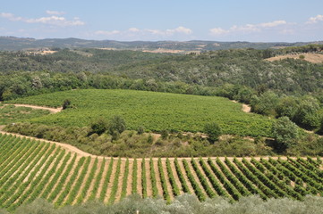 Fototapeta na wymiar View on the hills of Tuscany