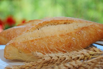 pane toscano e spighe di grano