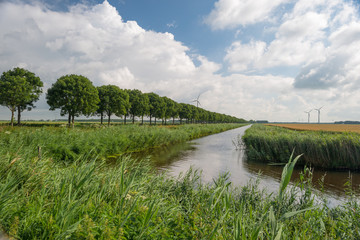 Canal through a Dutch landscape in summer