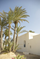 Djerba