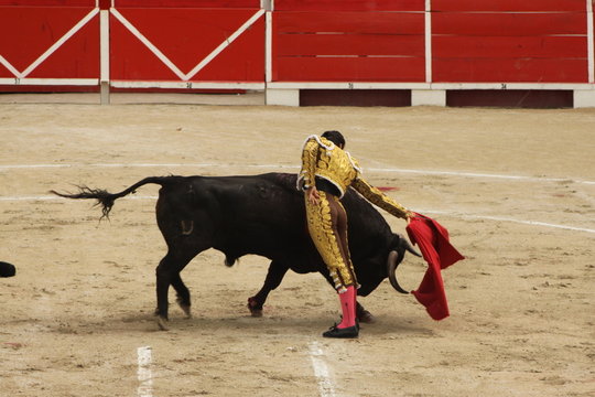 corrida