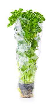 Fresh green parsley in a transparent package isolated on white b