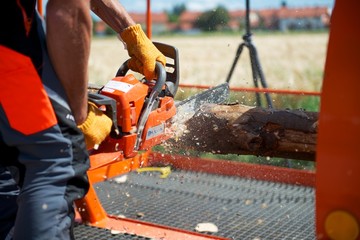Arbeiter schneidet mit Motorsäge