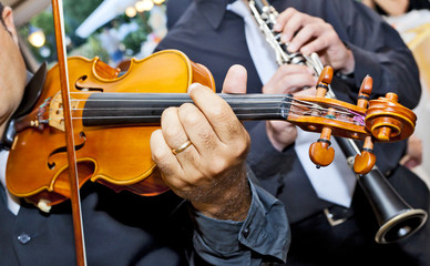 violinista
