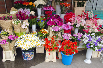 various summer flowers market