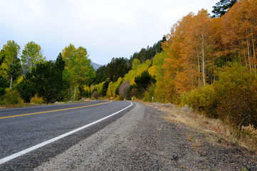 Fall Season In The Sierras