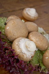 Champignons auf salat