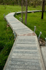 Footpath in National park ,Northeast of Thailand.