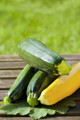 Zucchini