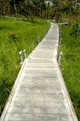 Footpath in National park ,Northeast of Thailand.