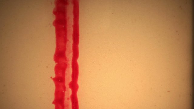 Retro Film 8mm