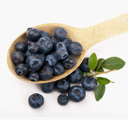 Ripe blueberries  close up on white background