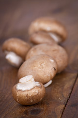 Champignons auf salat