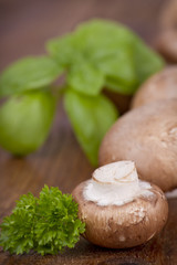 Champignons mit frischen Kräutern