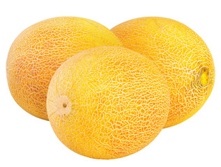 melons, isolated