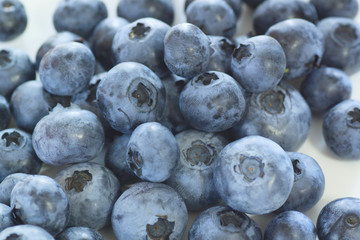 Close up blueberry