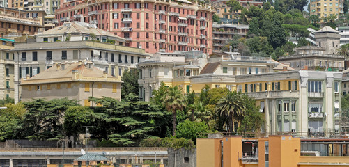 urban public park
