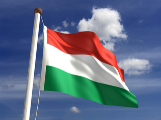 Hungary flag (with clipping path)