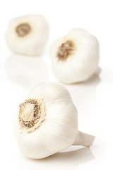 Fresh Organic Garlic Cloves
