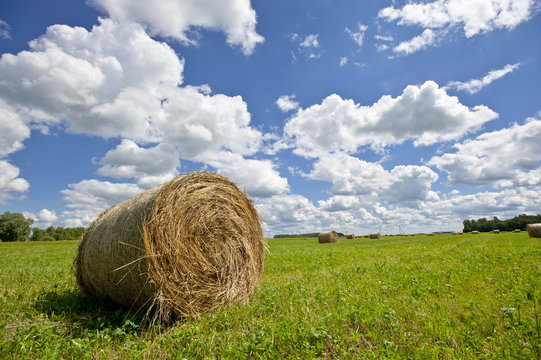 Rolled heystack in a field with picturesque sky 