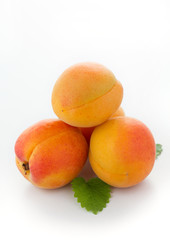 Apricots isolated on a white background