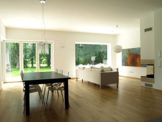 Modern house