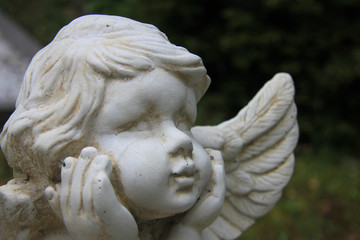 Guardian Angel