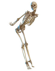 skeleton retro pin up