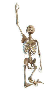 skeleton praying