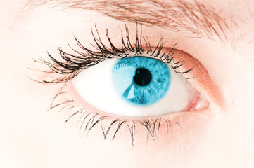 Human eye. macro shooting