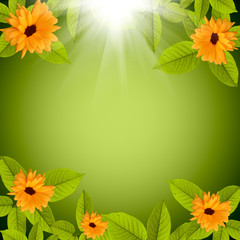 Obraz premium natural green background with flowers