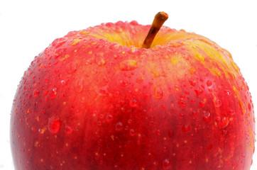 Macro red apple