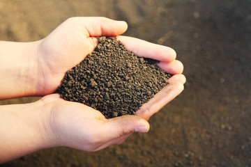 Image of soil in hands