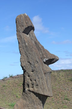 Moai at Quarry, Easter Island