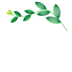 Leaf of frame on background