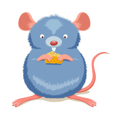 Rat eating cheese