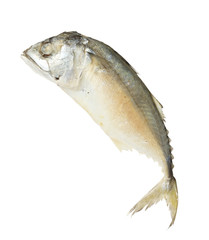 Steamed mackerel isolated on white background