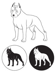 Staffordshire Terrier