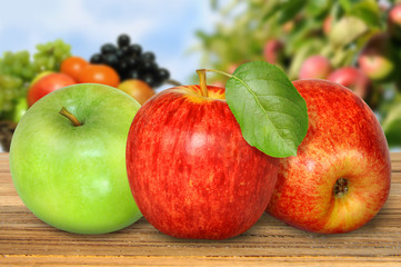 Obst 334