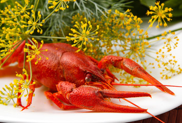 cooked crayfish with fennel and mint