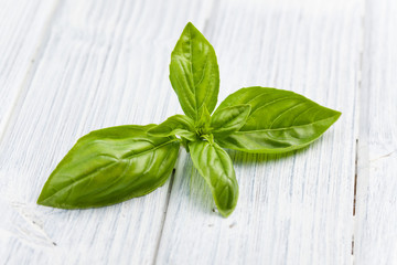 fresh basil leaves
