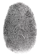 Real fingerprint in white background Super macro © Andrey Burmakin