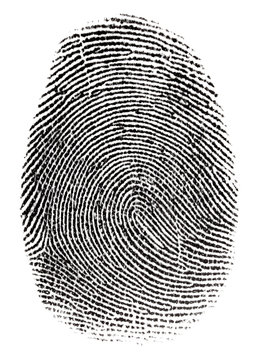 Real fingerprint in white background Super macro