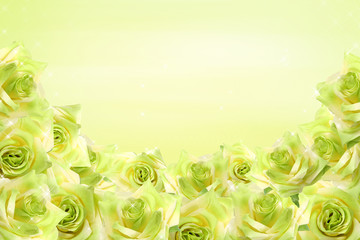 Green rose background - obrazy, fototapety, plakaty
