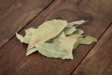 Lorbeerblätter - Laurus nobilis