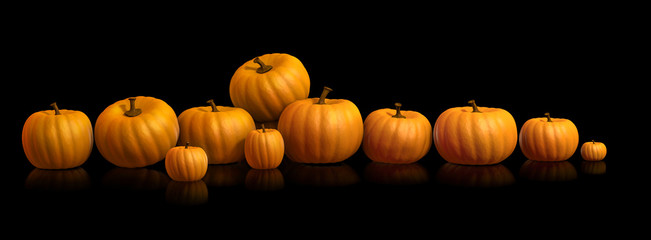 Línea de calabazas / row of pumpkins