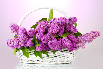 beautiful lilac flowers in basket on purple background
