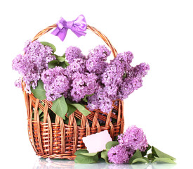 beautiful lilac flowers in basket isolated on white