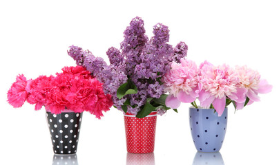 beautiful spring flowers in cups isolated on white