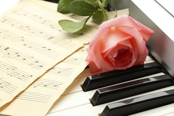 background of piano keyboard with rose